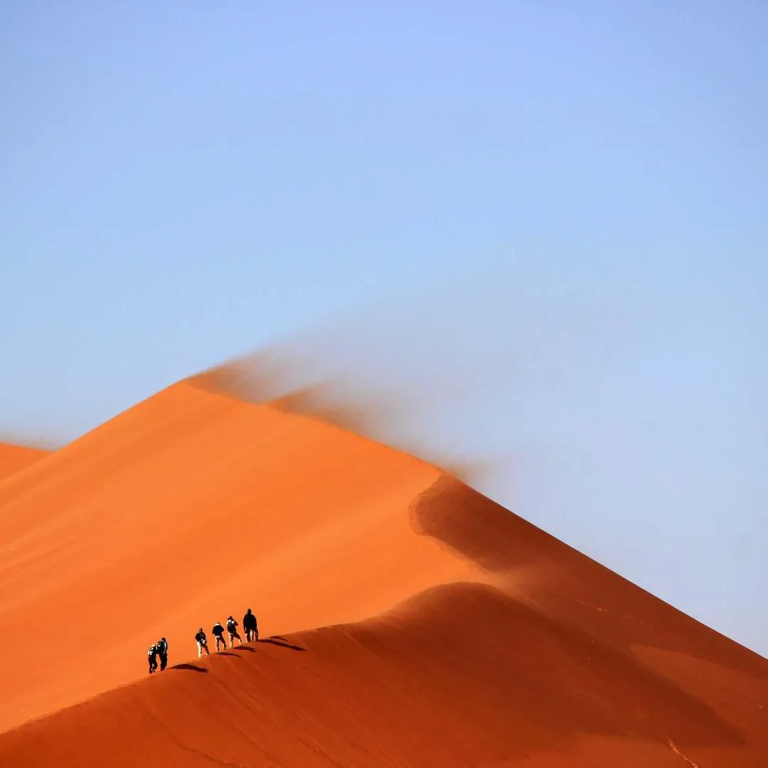 Crête de dune ondulée sous une lumière rasante, textures de sable en gros plan